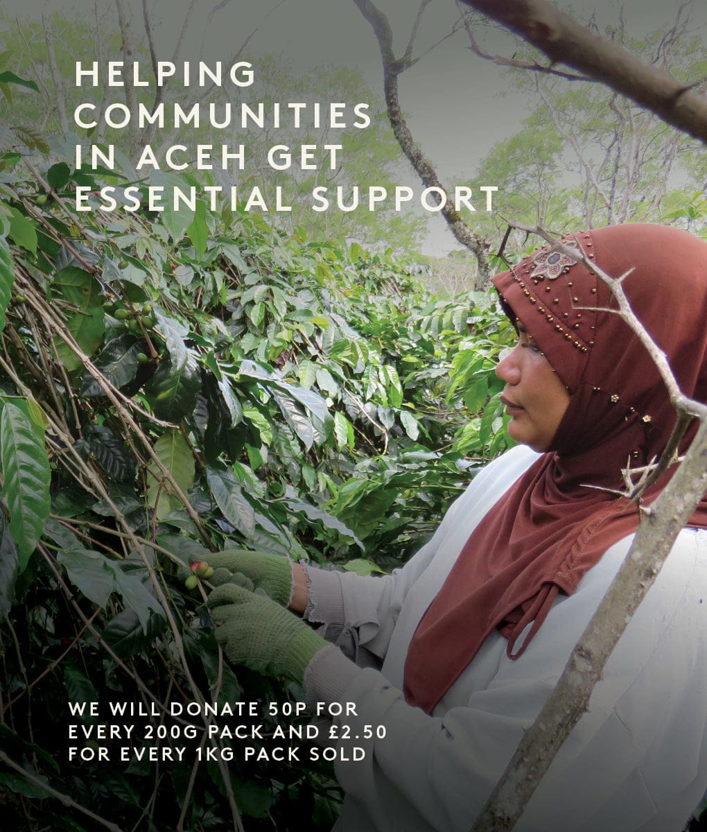 Gajah Mountain, Sumatra