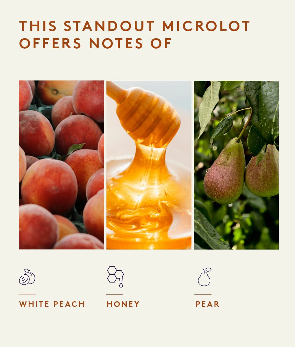 Verde Alto, Costa Rica