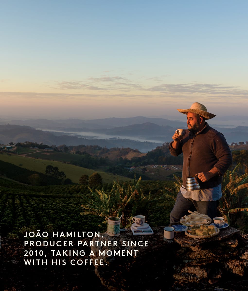 João Hamilton, Brazil