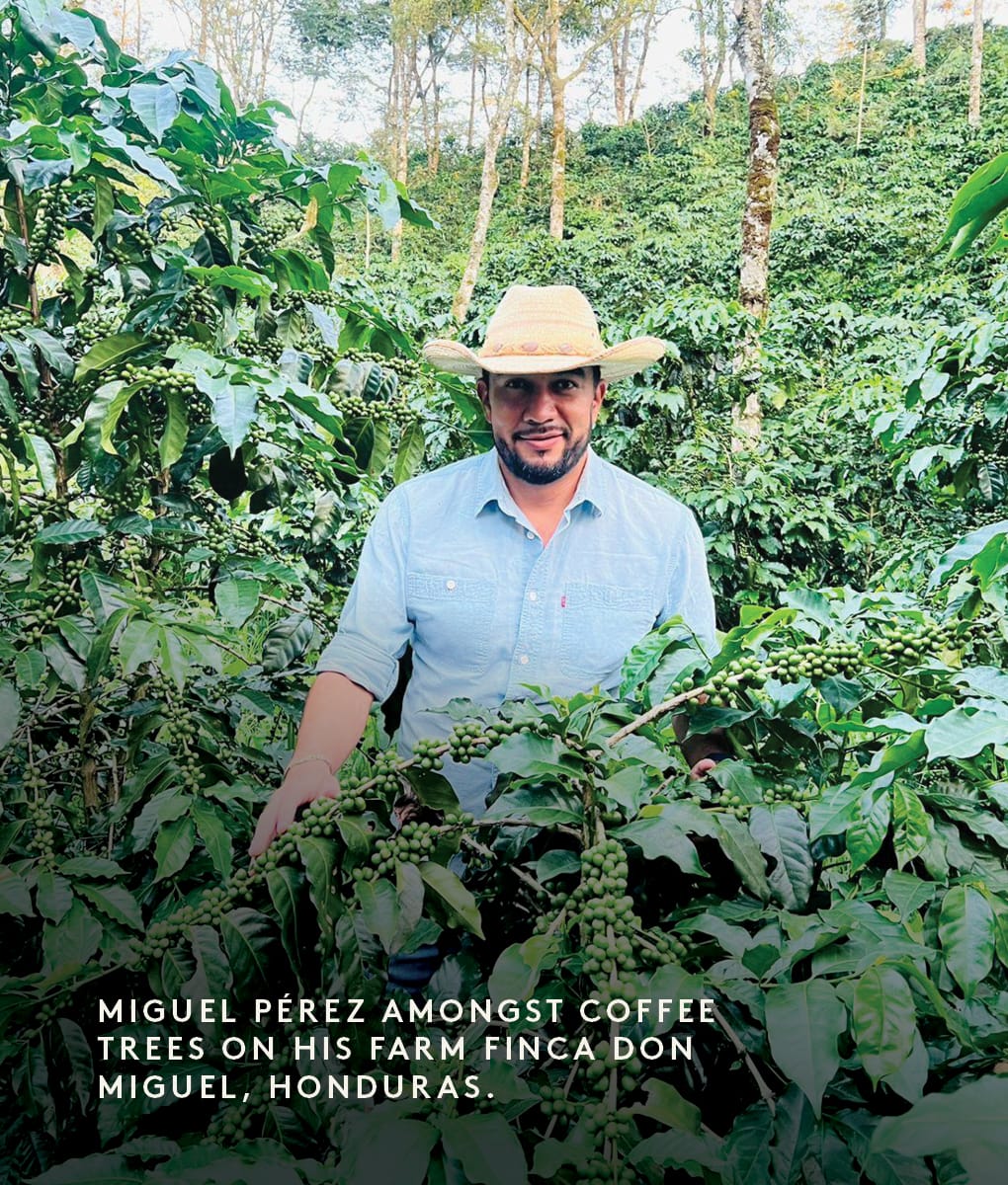 Miguel Pérez, Honduras