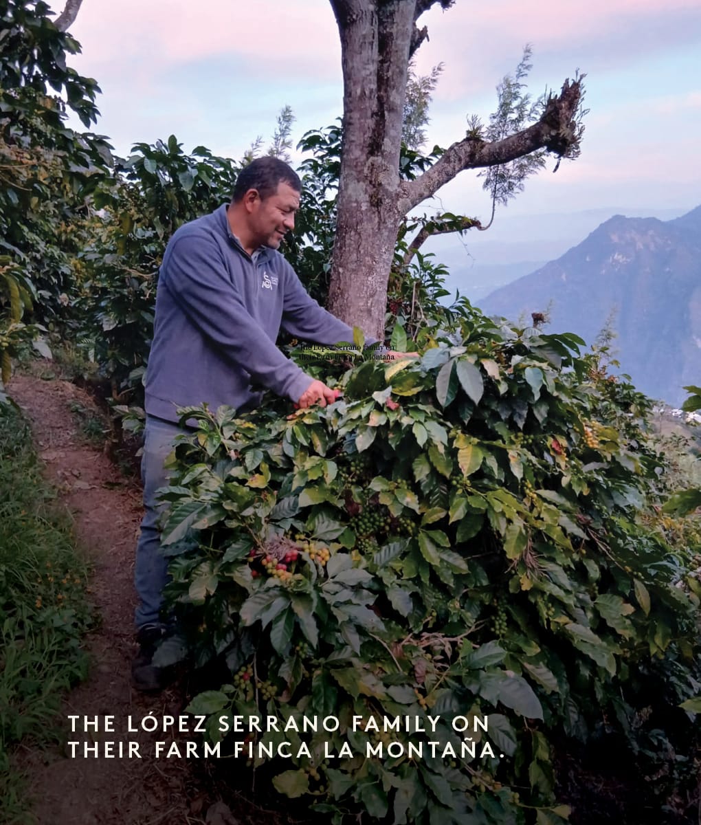 José Fernando, Guatemala