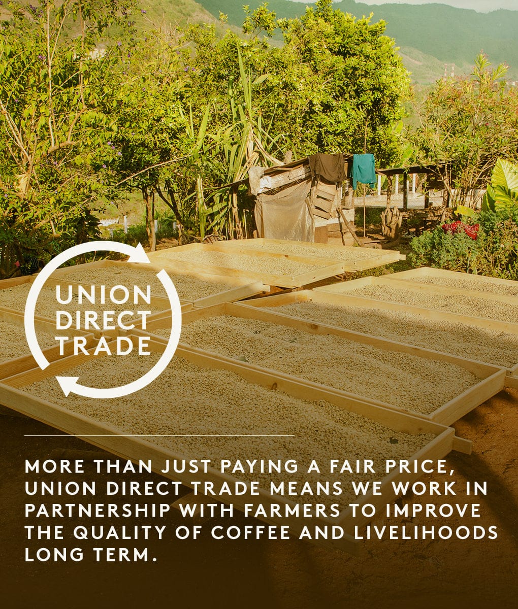 TIMEMORE U French Press, Gift Set