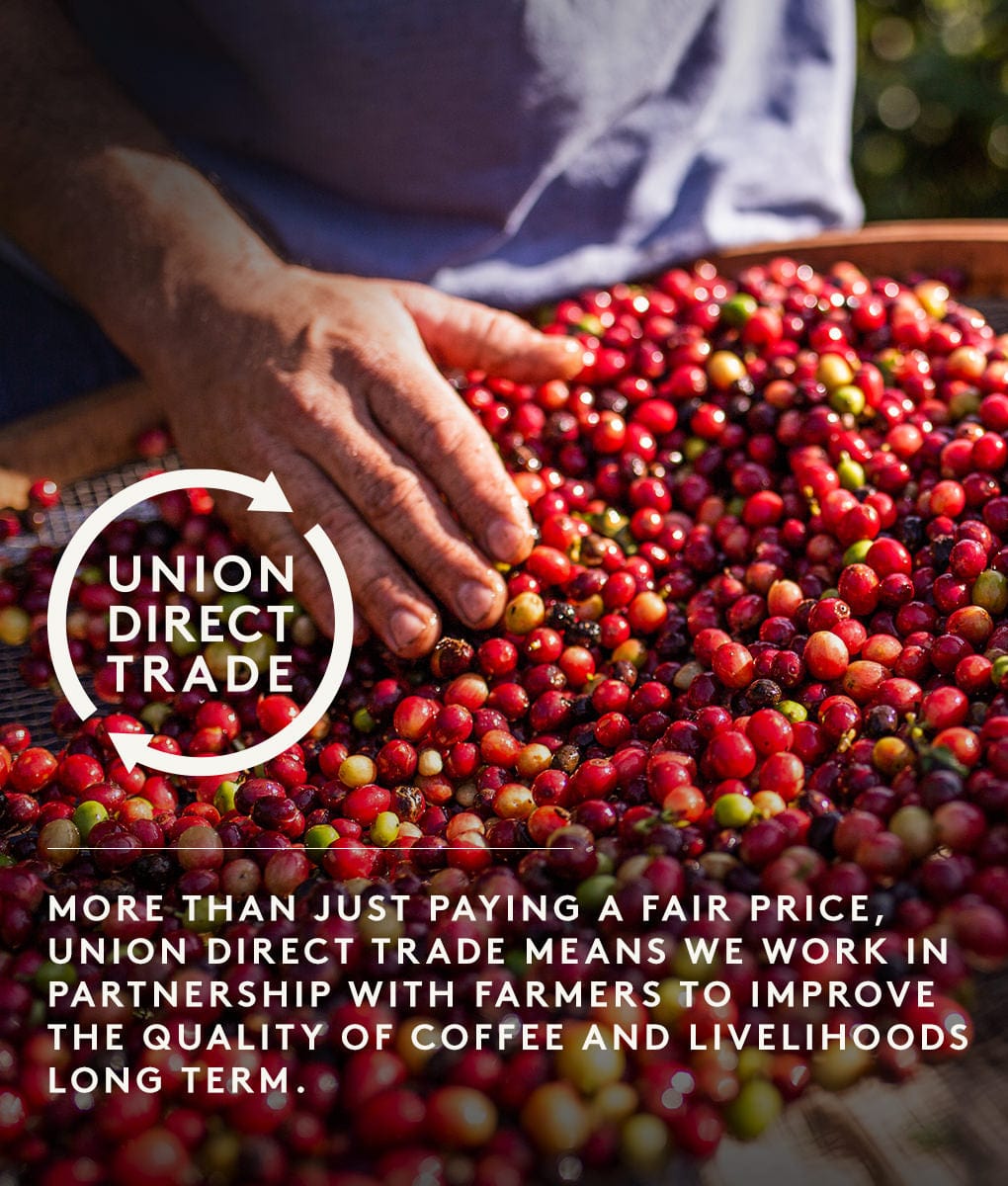 House Roast, Original Blend