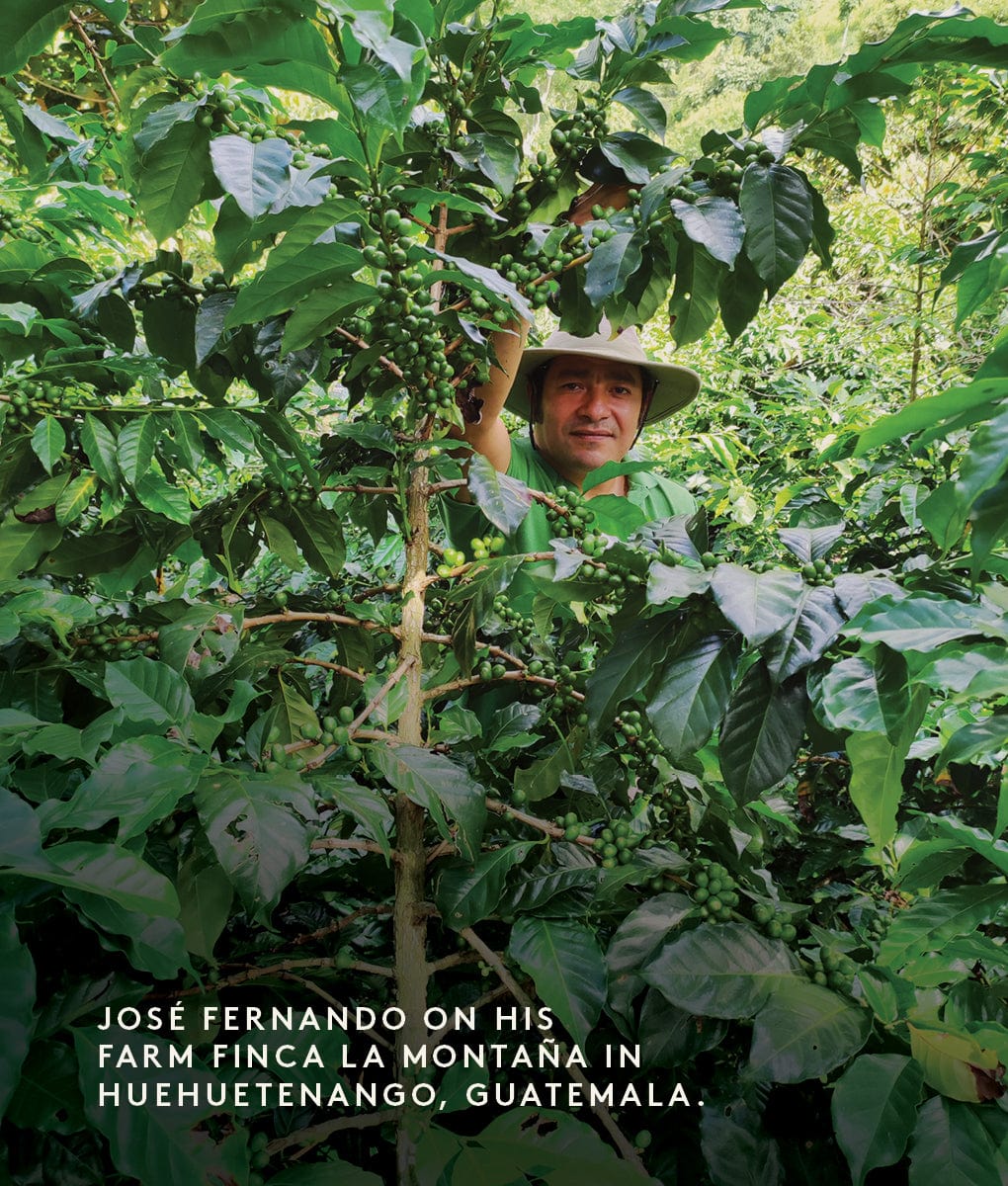 José Fernando, Guatemala