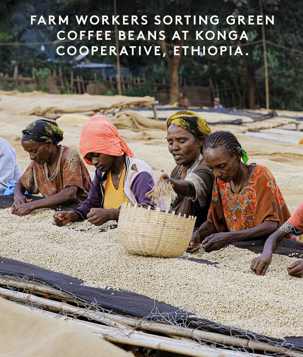 Yirgacheffe, Organic Ethiopia