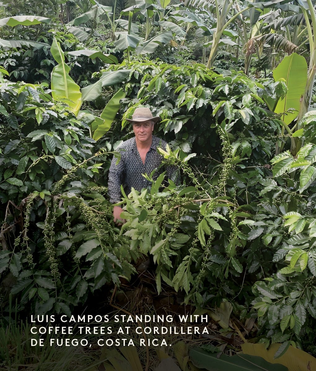 Cordillera de Fuego, Costa Rica