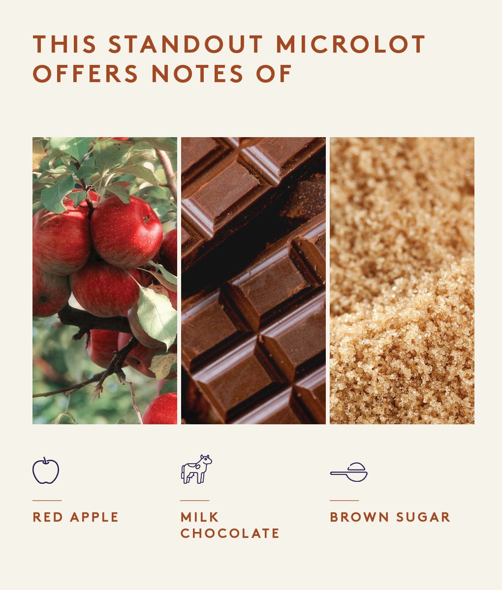 José Fernando, Guatemala