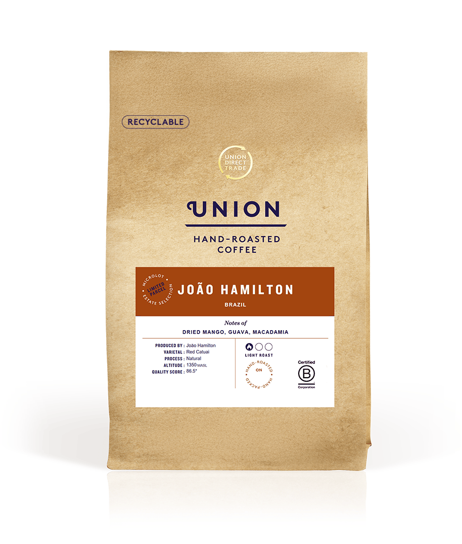 João Hamilton, Brazil