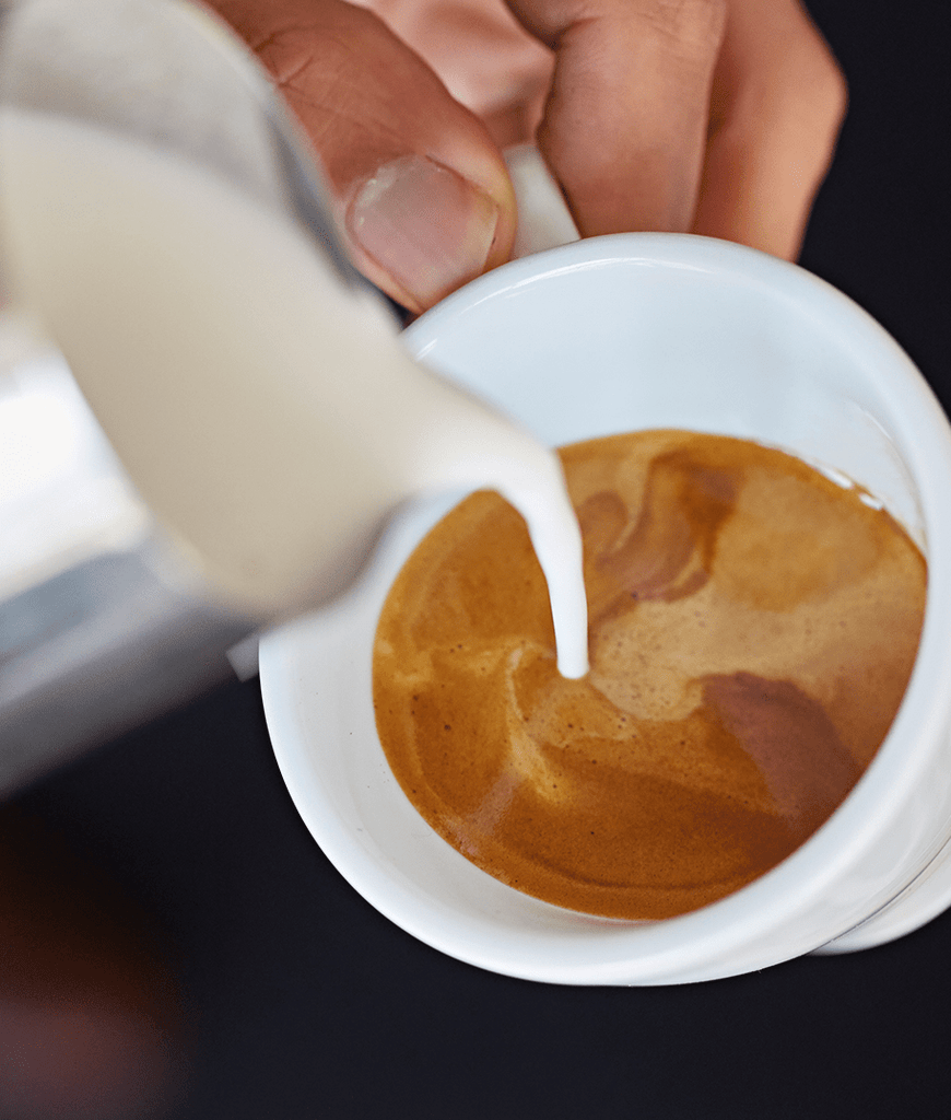 Foundation, Blend Union HandRoasted Coffee Union Coffee