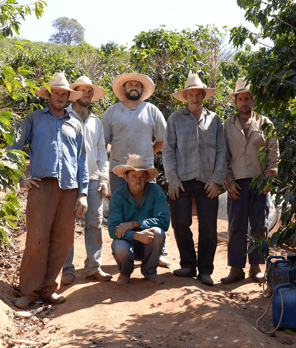 Brazil Coffee Farmers, Union Coffee