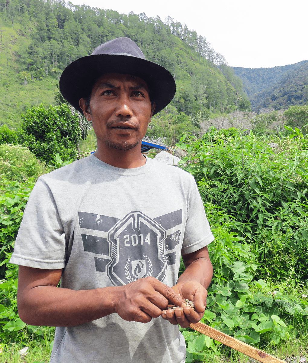Male coffee worker in Indonesia, Union Coffee