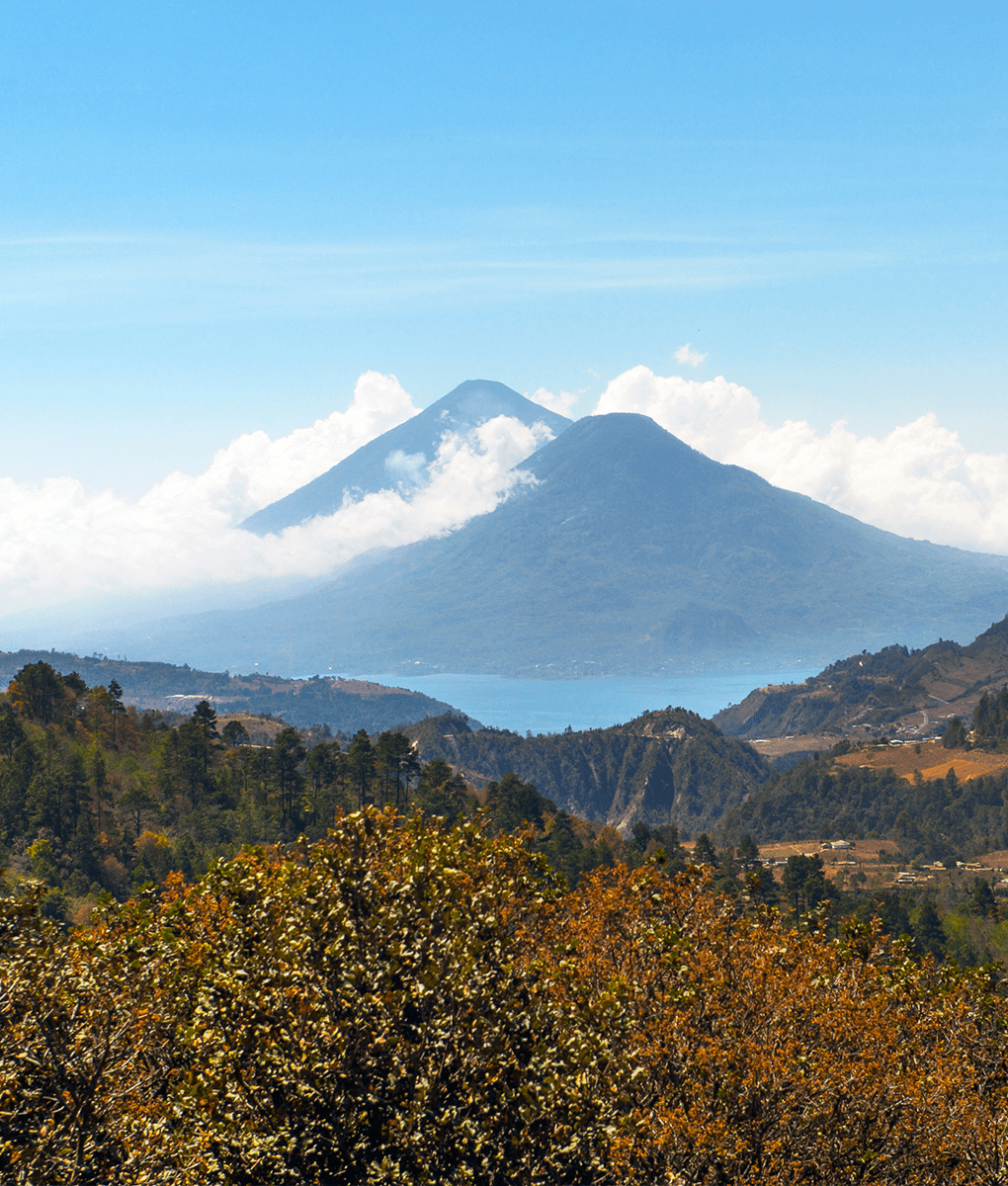 Guatemala Mountain, Union Coffee